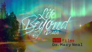 How Did Dr. Mary Neal Come Back From the Dead?! | Life Beyond Death | NDE Files