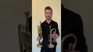 E♭ Trumpet vs. E♭ Cornet! What are the differences?