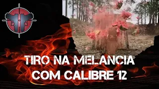 Tiro em uma melancia com espingarda de calibre 12 - tiro em câmera lenta