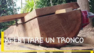 Come ricavare da un tronco di cedro delle tavole da 4 cm di spessore