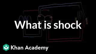 What is shock? | Circulatory System and Disease | NCLEX-RN | Khan Academy