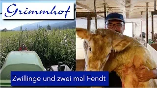 FarmVLOG#23 -Zwillinge, Hitze und der ganz normale "Wahnsinn"