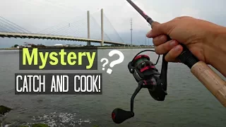 Saltwater Jetty Fishing - CATCH AND COOK!! (Unexpected)
