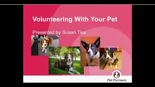 Volunteering With Your Pet