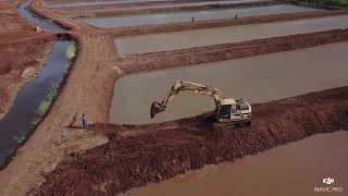 Tilapia fish pond construction in Kenya