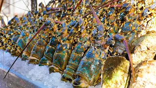 Giant Lobster and Seafood in Huahin | thai street food