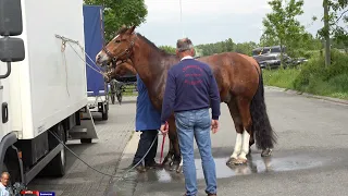 koetsenparade blankenberge en het vervoer