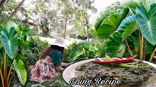 Harvest Taro(Gabi)and Cooking Ginataang Gabi  Laing/Life in the Philippines Countryside