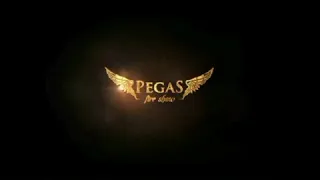 Огненное шоу г. Бугульма Pegas. Отзыв