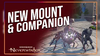 New Drider mount & Minotaur Companion ! Neverwinter