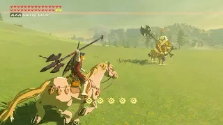 Zelda: BOTW (Royal Guard Link VS Gold Lynel) Royal Guard Weapons Only