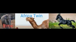 Africa Twin vs Vstrom 1000xt vs Bmw r1200gs