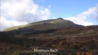 Moelwyn Bach forest walk 2022