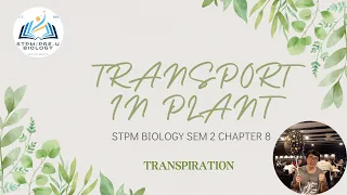 STPM BIOLOGY SEM 2 CHAPTER 8.2 TRANSPORT IN PLANTS | PART 1 | TRANSPIRATION | @halobudy_leezhixuan