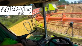 AGRO-Vlog #10 🌾 Mlatenie 300ha poľa v Poľsku 🇵🇱