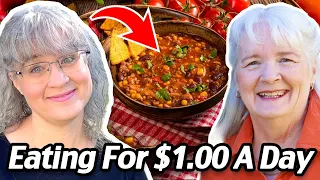 Eating For $1 A Day: Cheap And Healthy Meal Ideas! Grocery Budget Audit