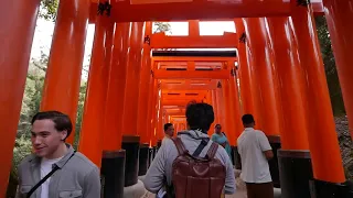 Peaceful Walk - Single Trail Behind Fushimi Inari Shrine