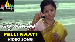 Erra Samudram Video Songs | Pelli Naati Video Song | Narayana Murthy | Sri Balaji Video