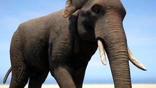 Far Cry 4 Massive Scale Battles Elephant POWER