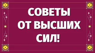 СОВЕТЫ ОТ ВЫСШИХ СИЛ в сфере личной жизни! ЧТО ВАМ НАДО ЗНАТЬ И ДЕЛАТЬ ПРЯМО СЕЙЧАС?