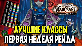 ТОП ДПС/ХПС КЛАССЫ В ПЕРВУЮ НЕДЕЛЮ НОВОГО РЕЙДА / ЗАМОК НАФРИЯ World of Warcraft: Shadowlands