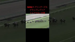 大好きなラスト1ハロン。2020スプリンターズＳグランアレグリア#競馬 #jra #スプリンターズs #グランアレグリア #g1