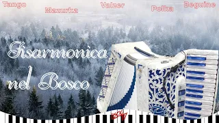 Fisarmonica nel bosco | Ballo Liscio Tradizionale | Folk 2024 | Tango, Fox, Valzer