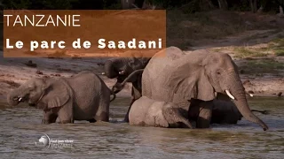 Tanzanie - les animaux du parc Saadani - #fautpasrever