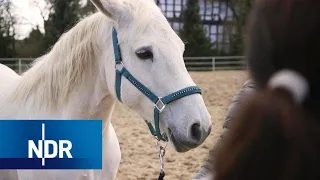 Tierschutz: Die Tierflüsterer | DIE REPORTAGE | NDR Doku