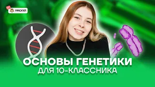 Основы генетики для 10-классника | Биология ЕГЭ 10 класс | Умскул