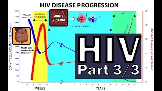 HIV Pathophysiology (3/3) - Disease Progression