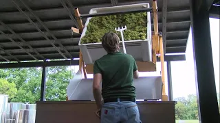 Illinois grape harvest underway