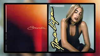 Dua Lipa, Shawn Mendes & Camila Cabello - Don't Start Now / Señorita (Mashup) 🏳️‍🌈