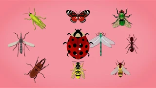 🐞🐞🐞Развивающий мультфильм для детей. Повышаем словарный запас. Насекомые. For kids (0+)