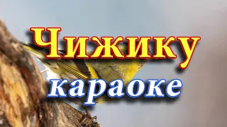 Чижику. Українська народна пісня (караоке)