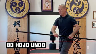 Functional strength training for karate: Hojo undo with heavy bo staff