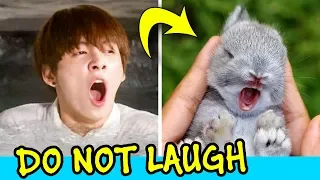 Jungkook Being Bunny - Try Not To Laugh Challenge