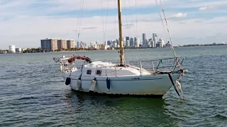 do you remember this sailboat Albin ballad? you'll be surprise to find out how much they sold it for