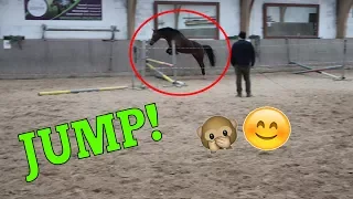 Paola ohne Reiter? 🤔 | Freispringen ♥ | Marina und die Ponys