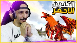 أرك اوليمبوس #14 | ترويض نوع ملكي من التنانين Ark Olympus