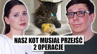 Nasz kot musiał przejść 2 operacje - P🍍Podcast