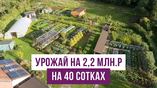 Урожай на компосте приносит 2,2 млн. р на 40 сотках