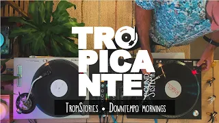 Tropistories ☼ Downtempo mornings