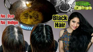 Stop Using Dye & Indigo:Just Use This Oil To Reverse Premature Hair Greying &Turn White Hairs Black