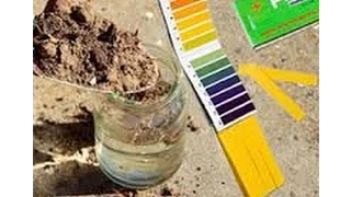 Как определить кислотность почвы