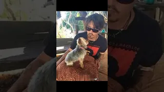 Johnny Depp with dogs