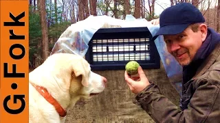 Can You Help Me Fix This? | DIY Mini Greenhouse For Raised Beds | GardenFork