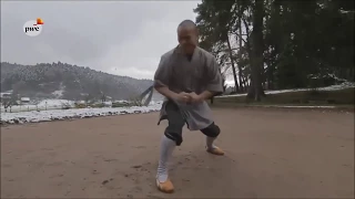 The Shaolin way - Happiness