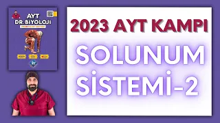 Solunum Sistemi-2 AYT Biyoloji Kampı Konu Anlatımı/ 11.Sınıf 2024 Tayfa