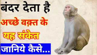 Bandar Ke Shubh Sanket | बंदर के शुभ संकेत | Good Sing Of Monkey | Vastushastra | Bageshwardham